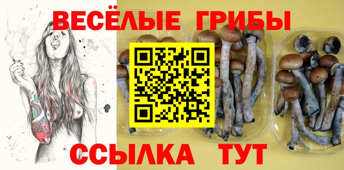 Псилоцибиновые грибы ЛСД Среднеуральск